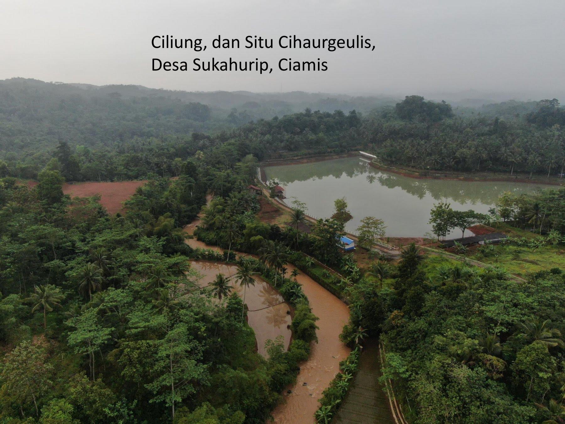 SITU CIHAURGEULIS